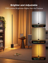 Govee Floor Lamp 2