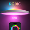 Govee 12-Inch RGBWW + RGBIC Smart Ceiling Light