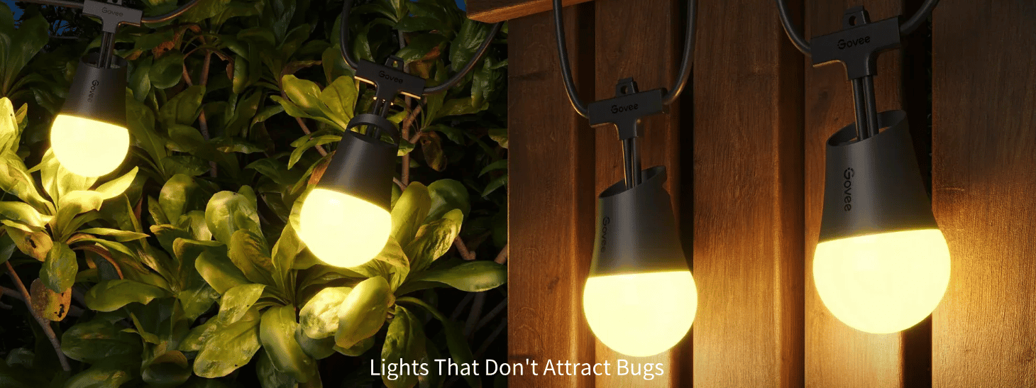 lights that don't attract bugs